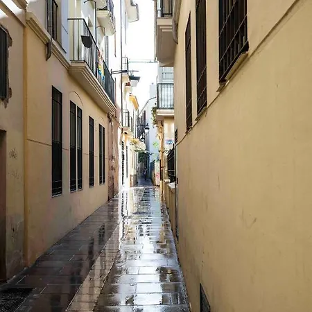 Centrico Picasso Málaga
